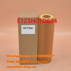 E123H01D624 Масляный фильтр
