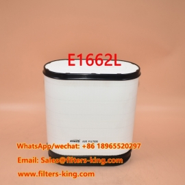 Воздушный фильтр E1662L
