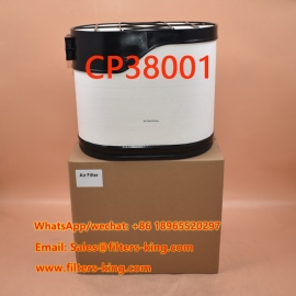 Фильтры PowerCore CP38001