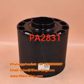 Воздушный фильтр PA2831