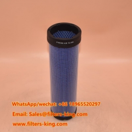 P785389 Воздушный фильтр