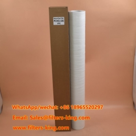 Фильтр природного газа PCHG-336