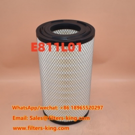 Воздушный фильтр E811L01